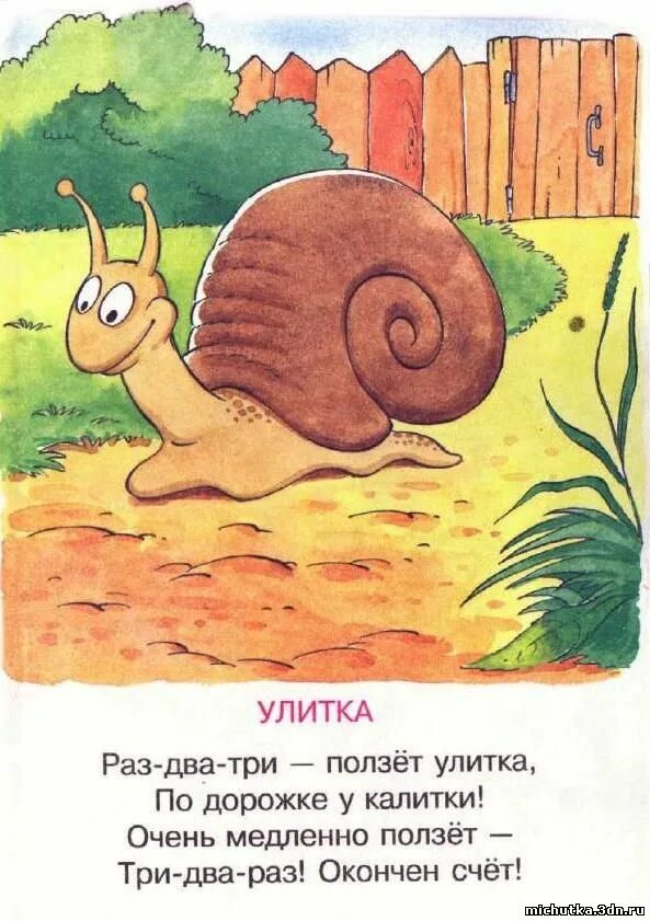 Черепаха медленно. Две антенны на макушке. Ребус черепаха. Очень медленно ползет. Бархан сарыкум змеи.