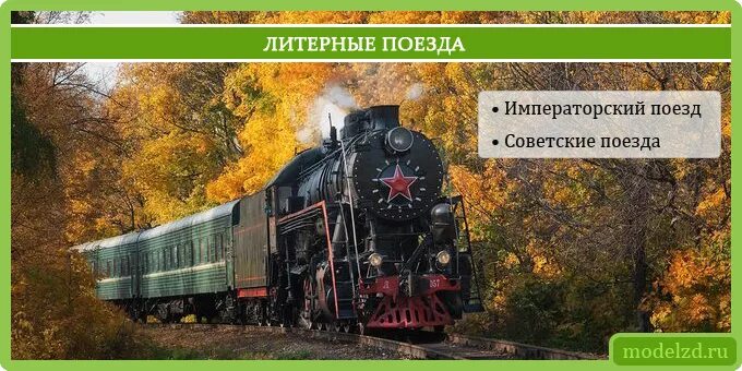 Тэп70 239. Что значит литерный поезд. Литерный поезд. Поезд метро петербург мобильная библиотека. Железная дорога ижевск балезино в годы войны.