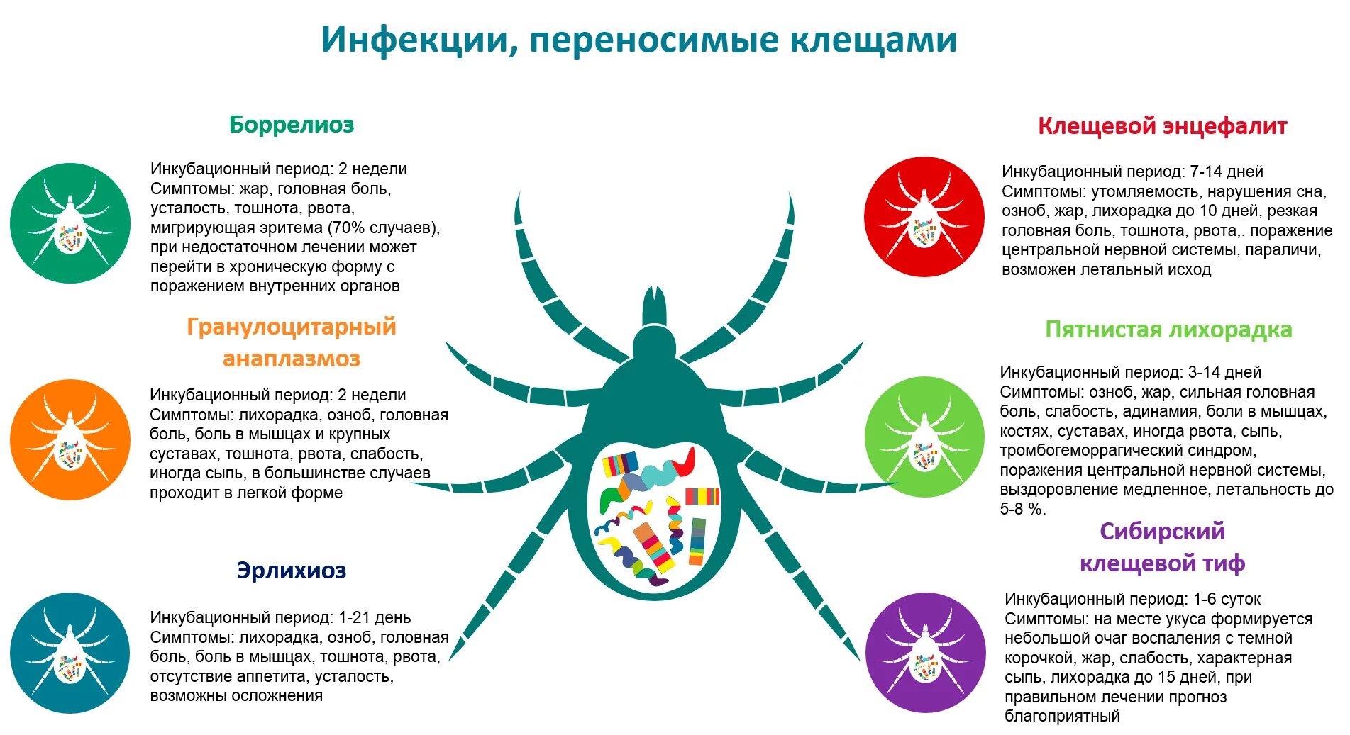 Клещи вызывающие заболевания