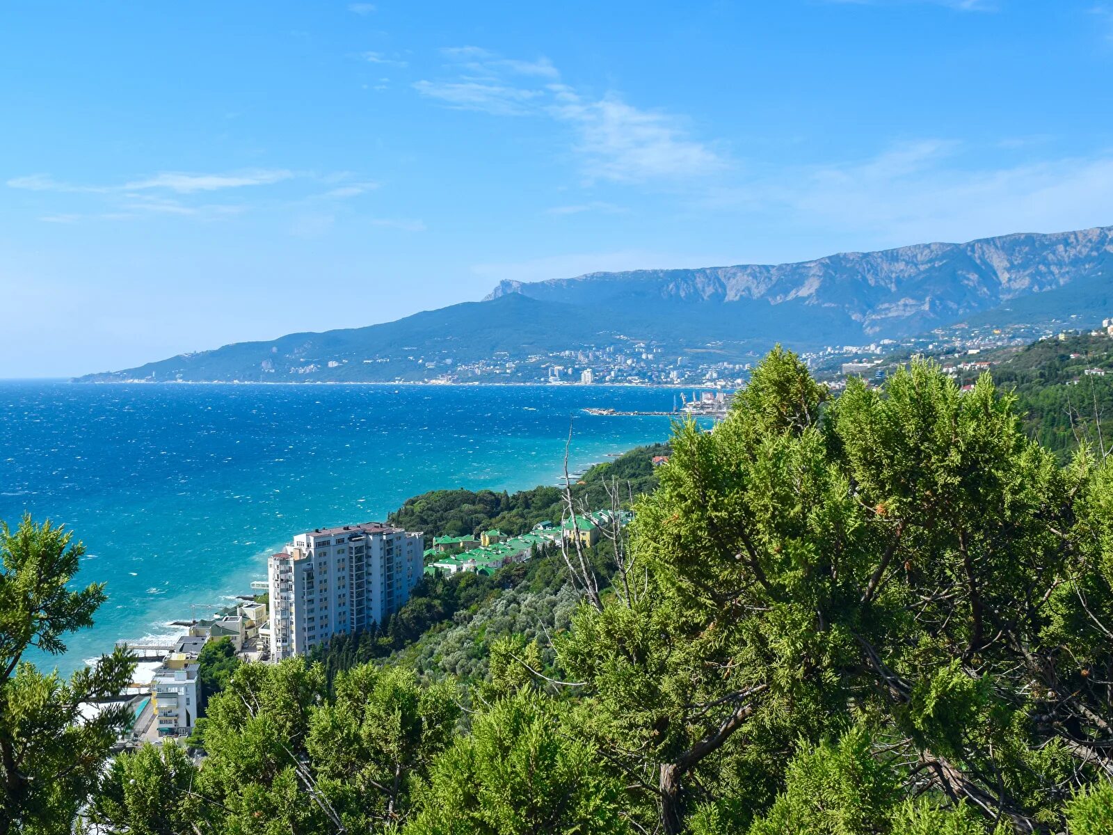 Россия южный берег. Ялта субтропики. Южный берег Крыма Алушта. Черное море горы Ялта. Сан горный Ялта.