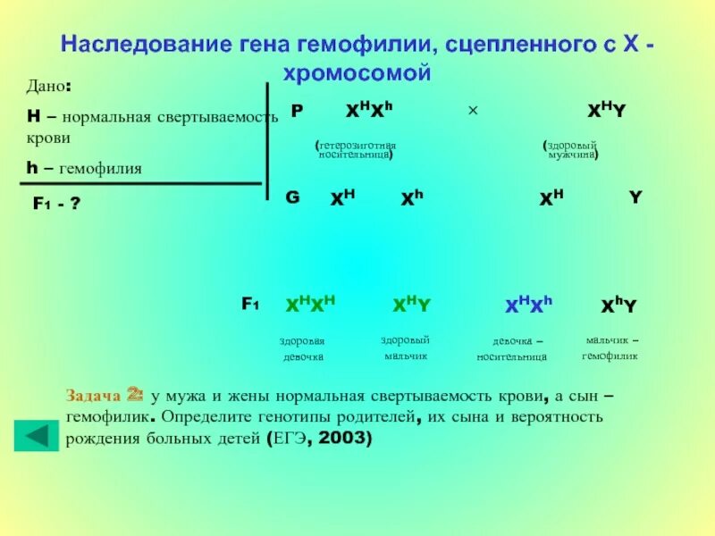 Мать носитель и гемофилия