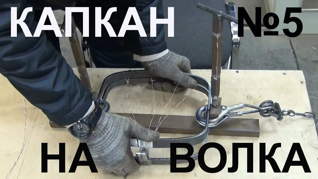 Капкан на спонсора читать поляковой. Капкан на волка сокольцова. лучшие капканы на волка.