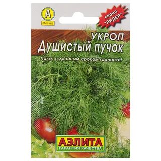 Помидоры семенами укропа