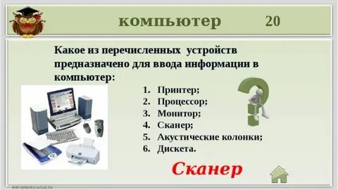 Устройство ввода является сканер принтер монитор