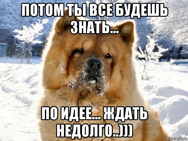 Недолго