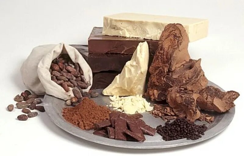 Сырье для шоколада. Сырье для производства шоколада. Какао масло. Ингредиенты для шоколада на производстве.