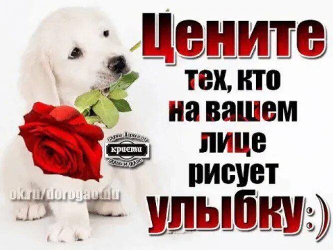 Только тот ценит солнце. Люблю ценю и уважаю. цените тех кто рисует на вашем лице улыбку. люблю и ценю тебя.