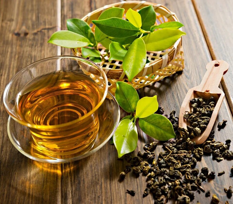 Зеленый чай. Чайный лист. Листья чая. Зеленый чай листья.