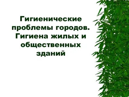 Гигиена города