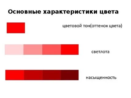 Цвет характеристика и значение