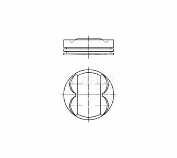 Mahle pi