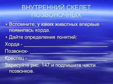 У каких животных впервые появилась полость