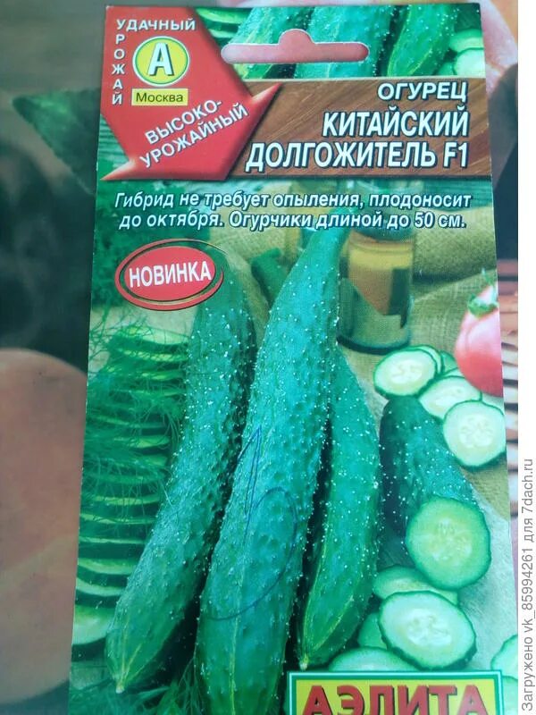 Огурец китайский долгожитель описание. Семена огурец феникс 0,5 г белый пакет (гавриш). Огурец китайский фермерский. Огурцы долгожитель. Огурец китайский долгожитель f1.