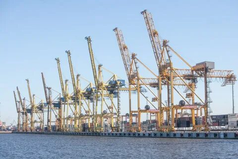 Большой порт санкт петербург