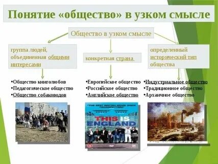 Обществом в узком смысле являются