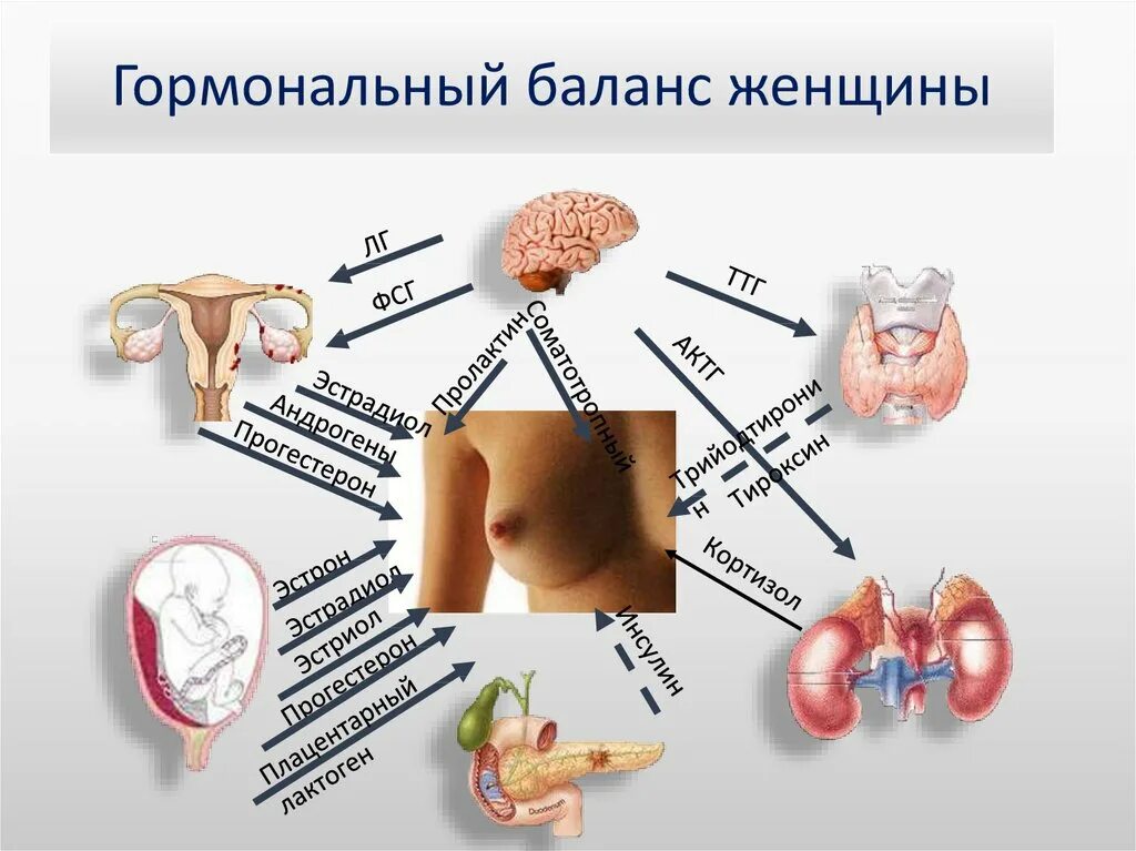 Нарушение гормонов. Гормональный фон. Гормональный фон у женщин. Нарушение гормонального фона.