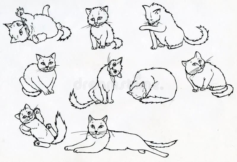Движение первых кот. Кошка рисунок. Зарисовки для детей котики. Кошки в разных позах. Наброски кошек в различных позах.