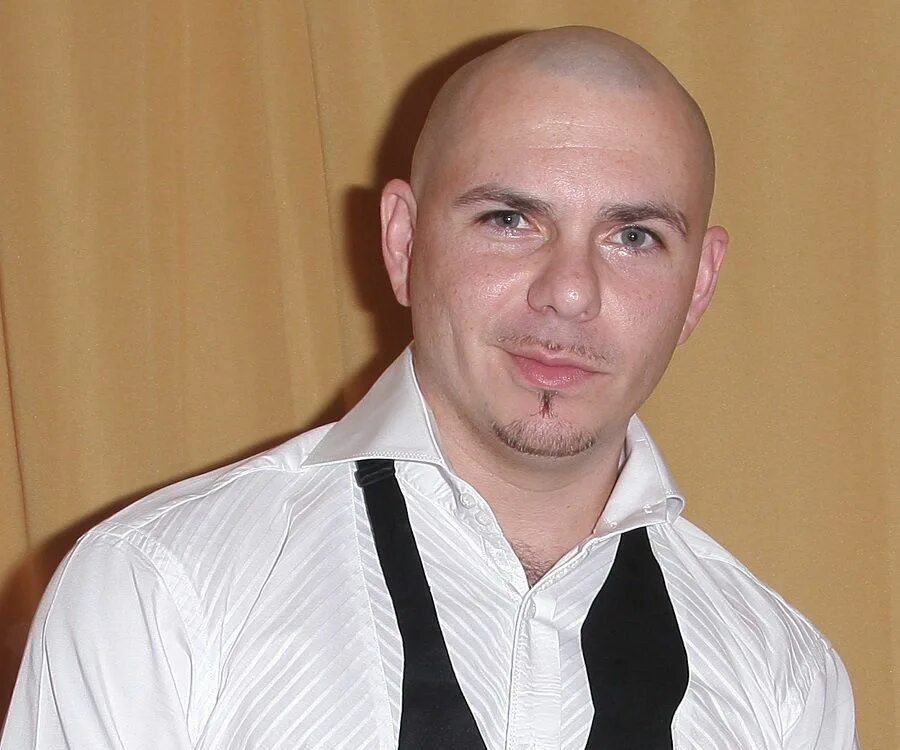 Music Superstar Pitbull Plans Local Concert Mens tops, Singer, Tops
