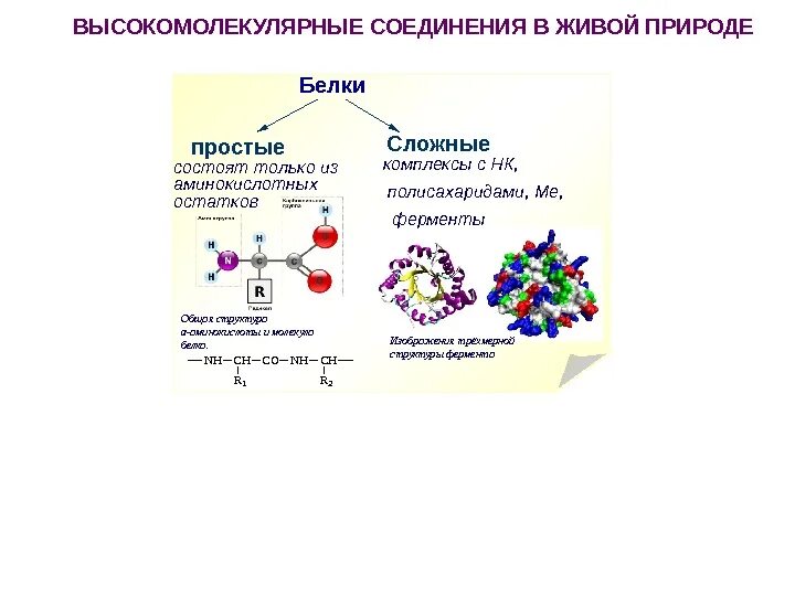 Белки сложные соединения. Низкомолекулярные соединения и высокомолекулярные соединения. Структура высокомолекулярных соединений. Белки сложные высокомолекулярные соединения. Примеры простых белков.