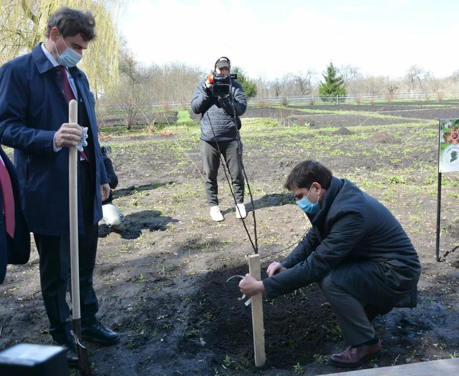 сад памяти акция. сад памяти. международная акция сад памяти. сад памяти акция. сад памяти.