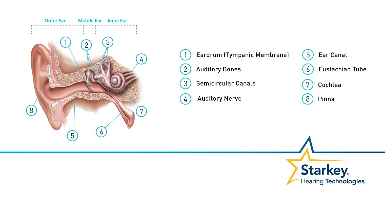 Hearing continuous. Hearing loss and dimension. hearing loss impact. hearing loss statistics. hearing sign.
