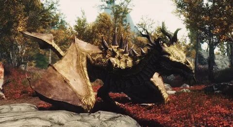 Dragon se