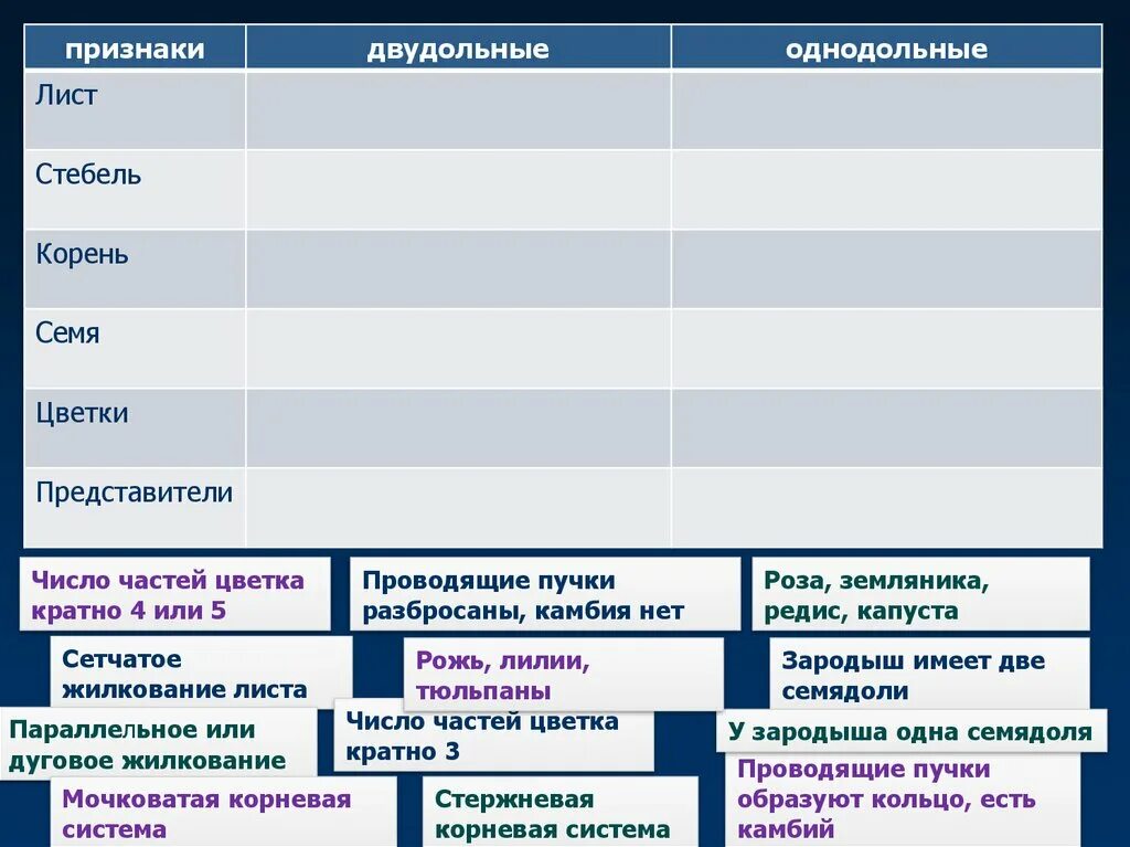 Число частей цветка кратно. Число частей цветка кратно 4. Число частей цветка кратно 4 или 5. Однодольные число частей цветка, кратно. Количество частей цветка кратно четырем или пяти