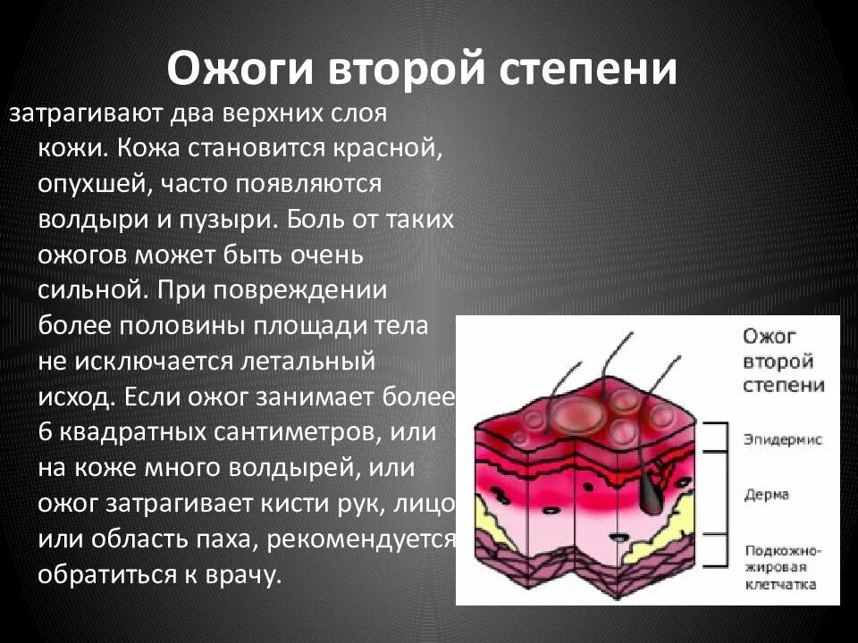 Слои кожи и степень ожога. Заживление термических ожогов. Слизистые покровы или гладкая поверхность