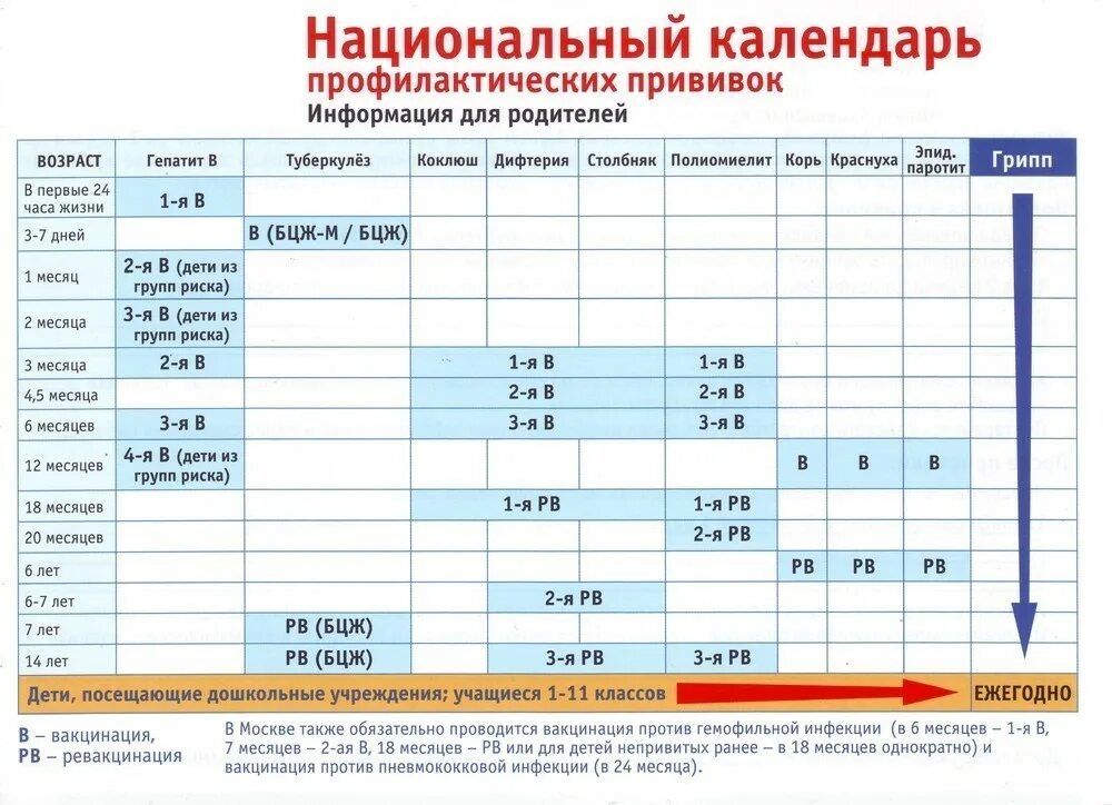 Можно ли совмещать прививку. Национальный календарь прививок РФ. График вакцинации детей в России. Таблица профилактических прививок у детей. График прививок для детей до года 2022.