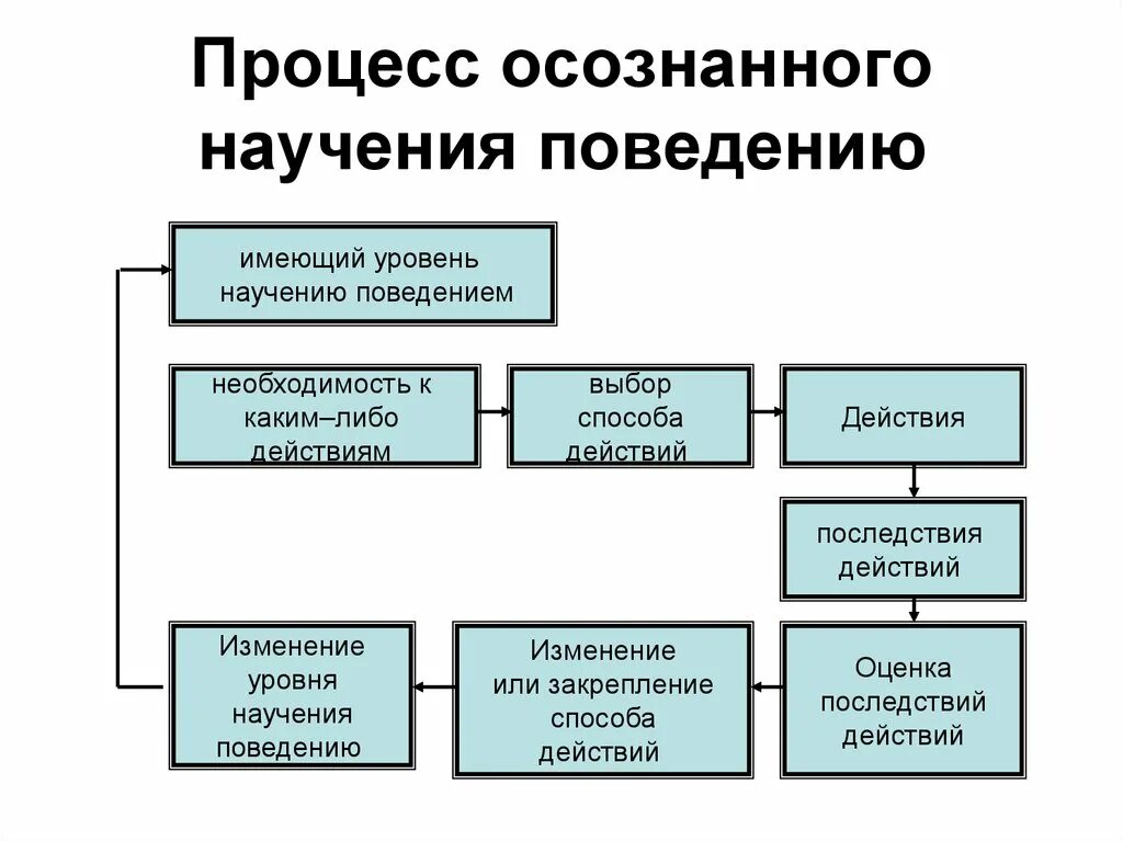 Научение поведению это