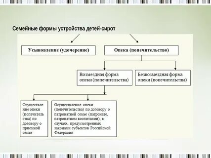 Формы государственного устройства детей