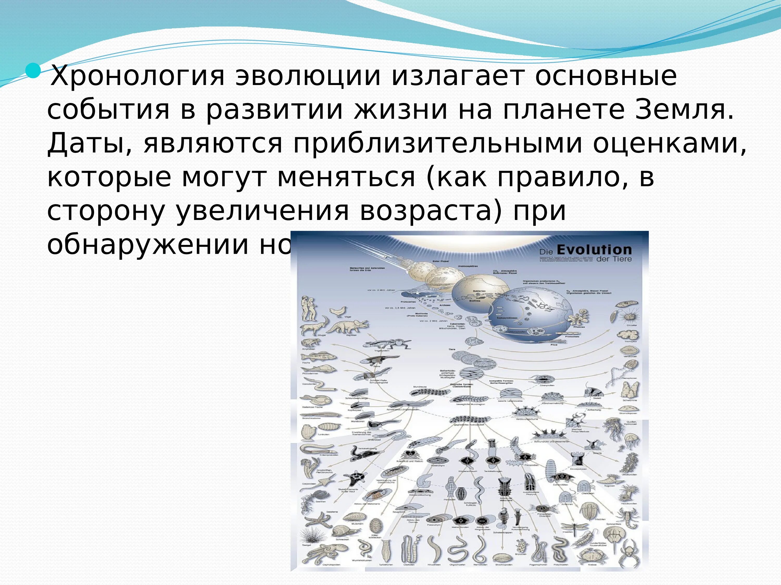 Хронология эволюции. Перспективы развития жизни на земле. Хронология развития жизни на земле. Главное событие в развитии жизни на земле.