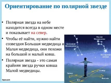 На какую сторону света указывает полярная звезда