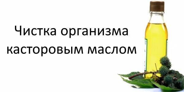 Очищение кишечника касторовым маслом как пить. Масло для очищения кишечника. чистка организма касторовым маслом. очищение организма маслом. очищение кишечника касторовым маслом.