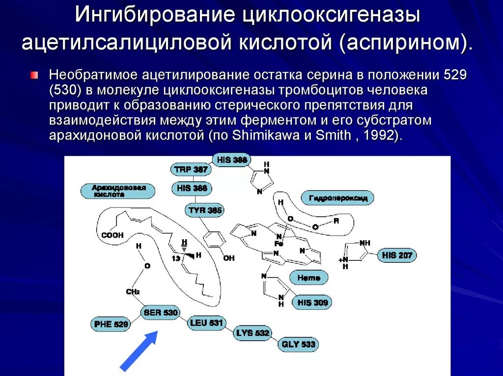 Аспирин ингибирует циклооксигеназу. Ацетилсалициловая кислота ингибирует циклооксигеназу. Ингибирование циклооксигеназы ацетилсалициловой кислотой. Необратимый ингибитор циклооксигеназы. Механизм действия аспирина