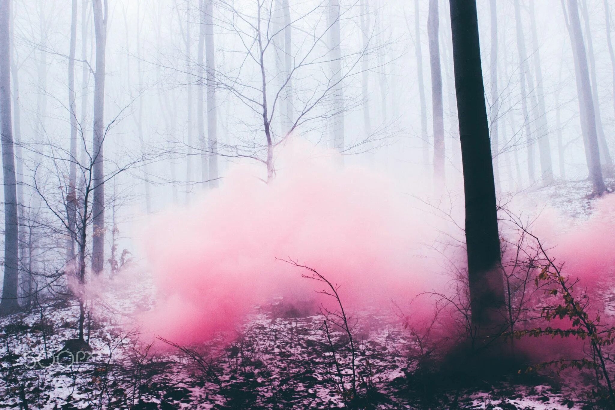 Розовый туман желтая. Розовый туман. Розово красный туман. Лес розовый в тумане Эстетика. Розовый туман фон.