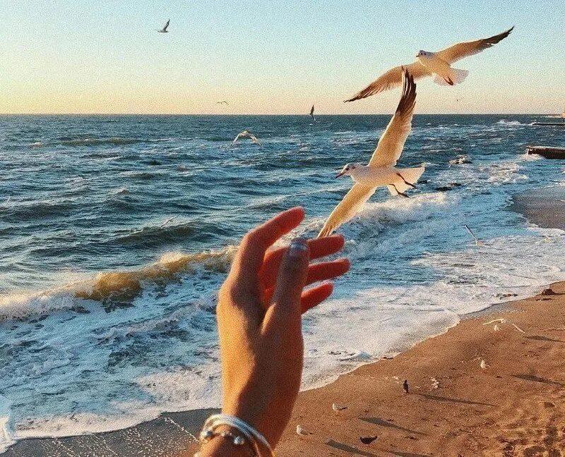 Въезд на кипр для россиян. Свобода картинки. Климатические условия. Кипр условия. Северный кипр для россиян.