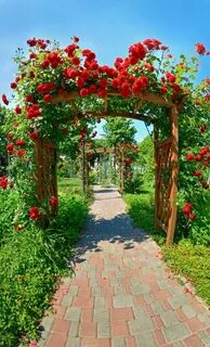 We a nice garden