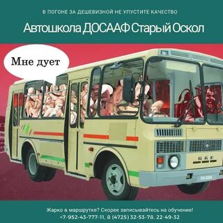Автобус на качу