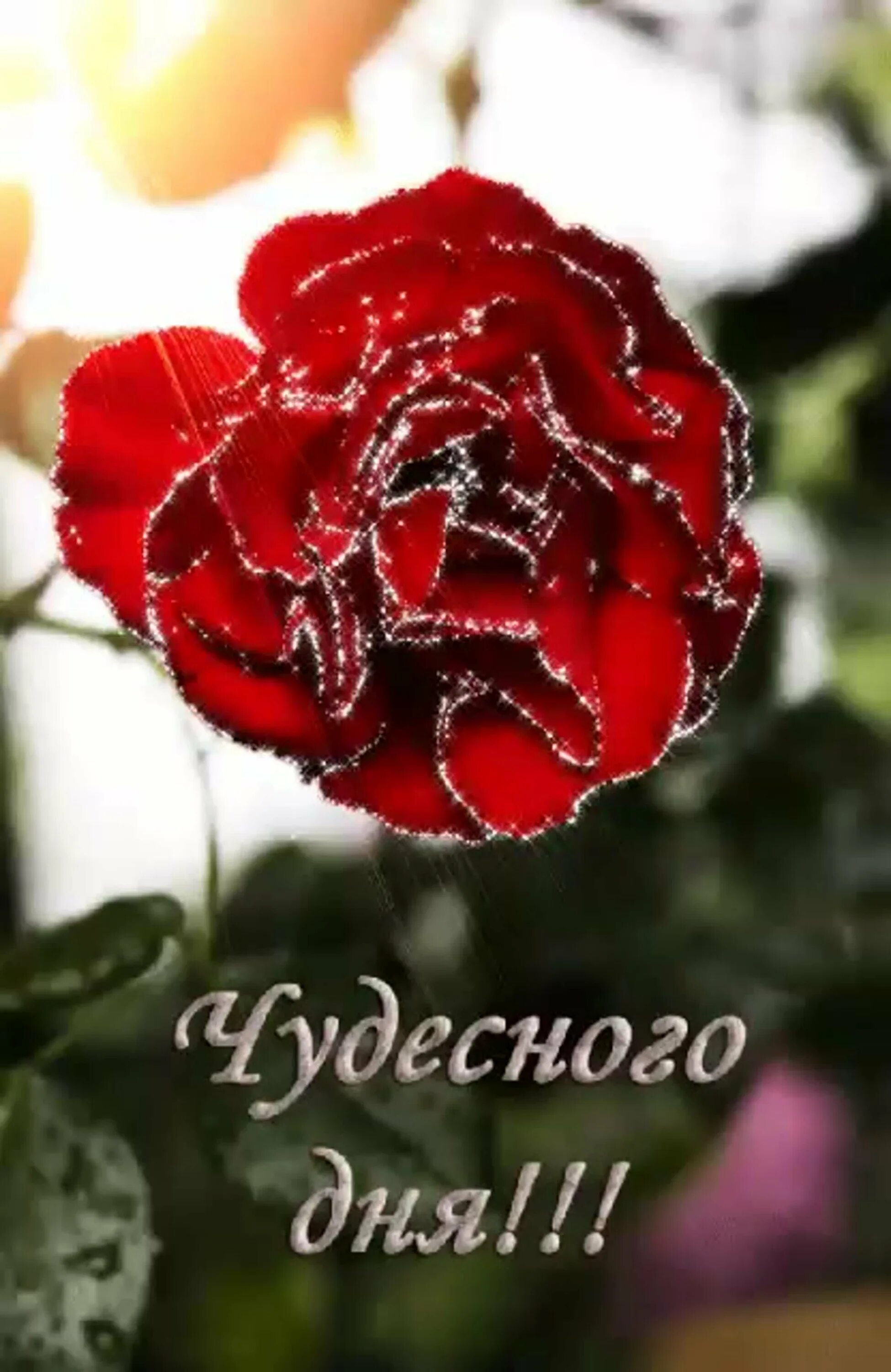 Гиф доброго чудесного дня. Гиф доброго чудесного дня. Открытки чудесного дня. Отличного денечка. Чудесного дня анимация.