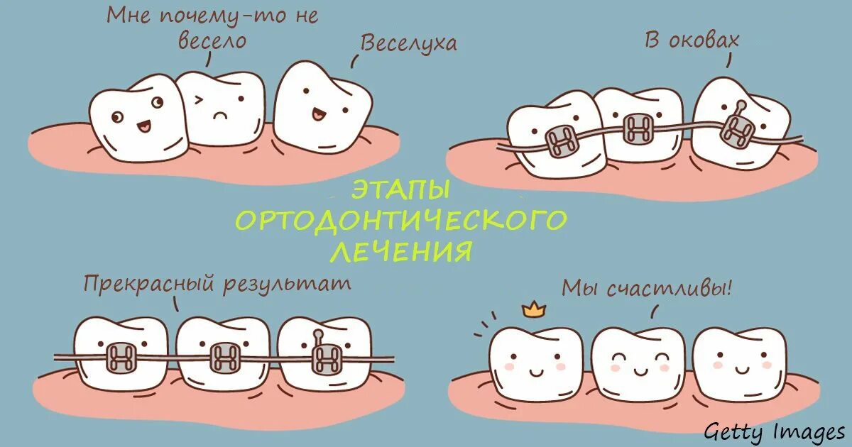 интересное про зубы. интересное про зубы. интересные факты о зубах для детей. интересные факты для детей. интересные стоматологические факты.