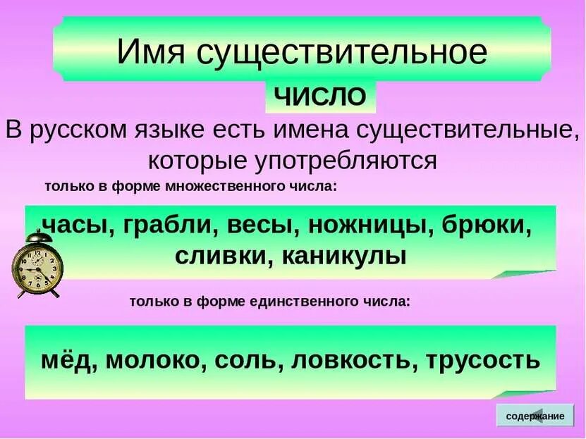 Род слова листьев. Число имен существительных. Числа существительного в русском языке. Имена сущ в единственном числе. Число имен сущ.