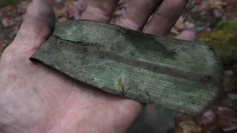 Гельмут вайссвальд последнее видео