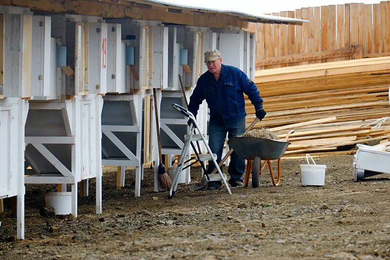 поселок созимский. тульская обл ферма лукино. кубинка подсобное хозяйство. чапаевка одинцовский район. кфх шефер темрюкского района.