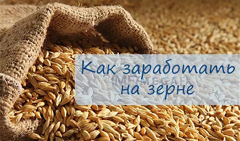 Потихонечку помаленечку. Зернышки от семечек польза. Курочка по зернышку клюет. По копеечке по зернышку по семечку. По копеечке по зернышку по семечку.