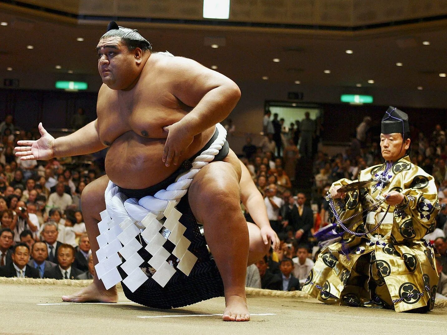 Битва двух якодзун. Битва двух якодзун. Гигантский борец сумо япония. Япония сумо. Таканохана и мусасимару.