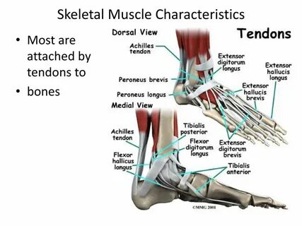 Foot parts
