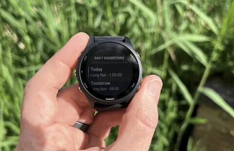 Forerunner 255