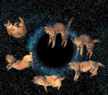 Cat hole