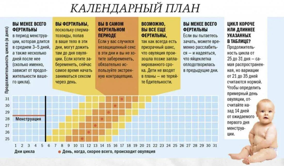 Начало зачатия ребенка